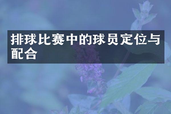 排球比赛中的球员定位与配合