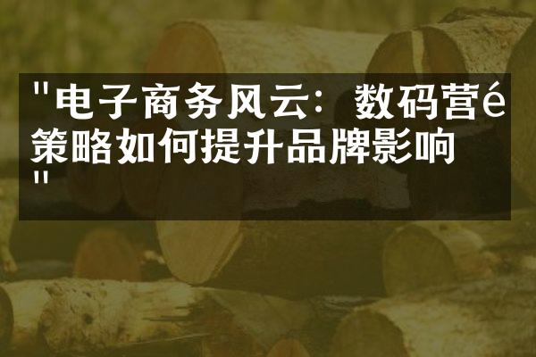 "电子商务风云：数码营销策略如何提升品牌影响力"