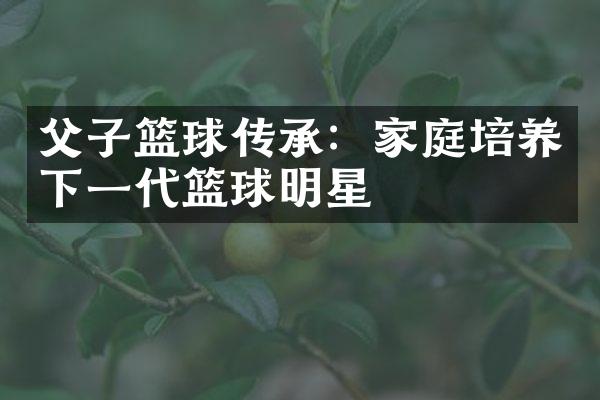 父子篮球传承：家庭培养下一代篮球明星