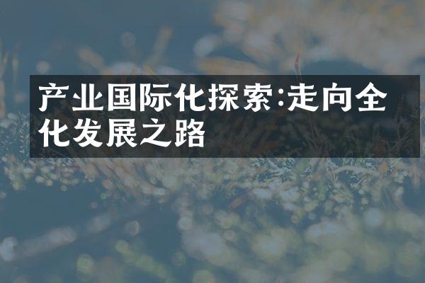 产业国际化探索:走向全球化发展之路