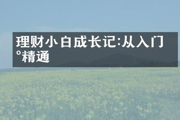 理财小白成长记:从入门到精通