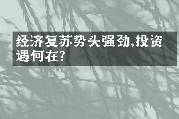 经济复苏势头强劲,投资机遇何在?