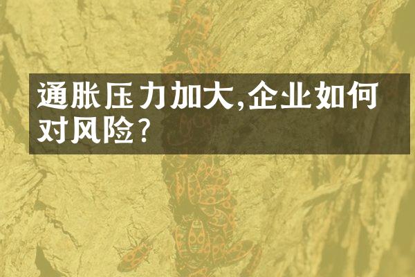 通胀压力加大,企业如何应对风险?