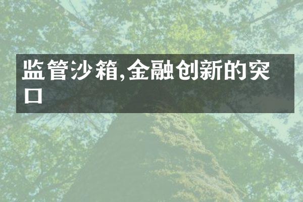 监管沙箱,金融创新的突破口