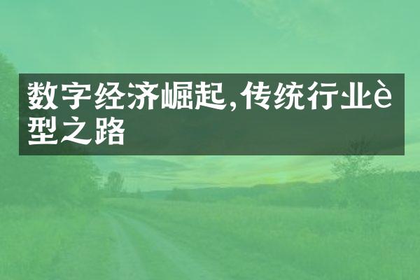 数字经济崛起,传统行业转型之路