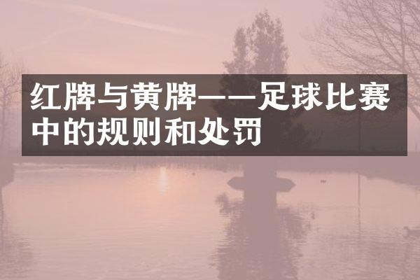 红牌与黄牌——足球比赛中的规则和处罚