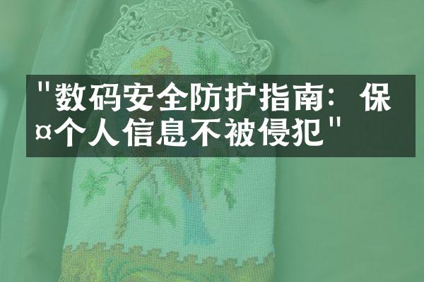 "数码安全防护指南：保护个人信息不被侵犯"