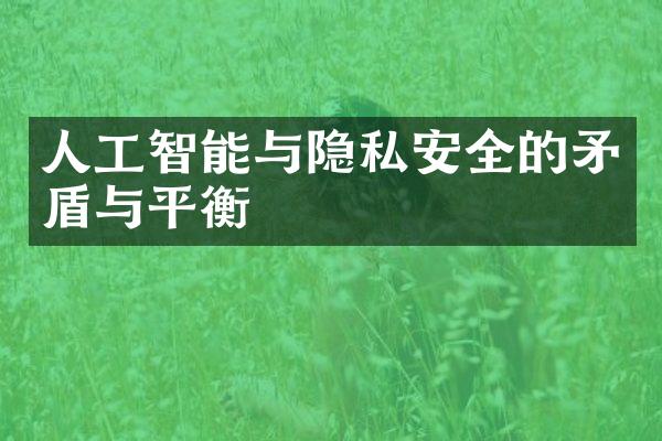 人工智能与隐私安全的矛盾与平衡