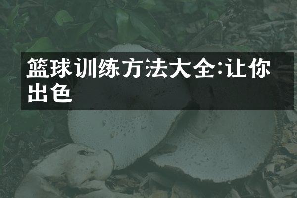 篮球训练方法大全:让你更出色