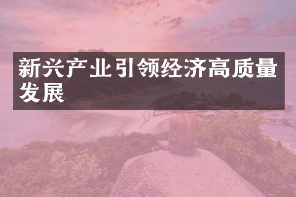 新兴产业引领经济高质量发展