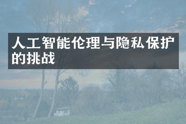 人工智能伦理与隐私保护的挑战