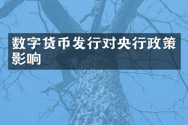 数字货币发行对央行政策影响