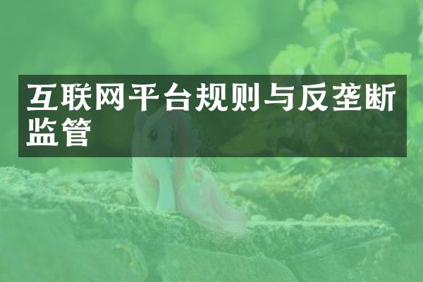 互联网平台规则与反垄断监管