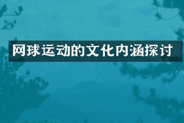 网球运动的文化内涵探讨