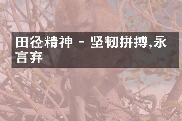 田径精神 - 坚韧拼搏,永不言弃