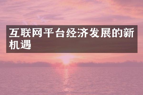 互联网平台经济发展的新机遇