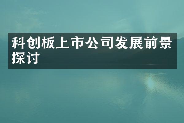 科创板上市公司发展前景探讨