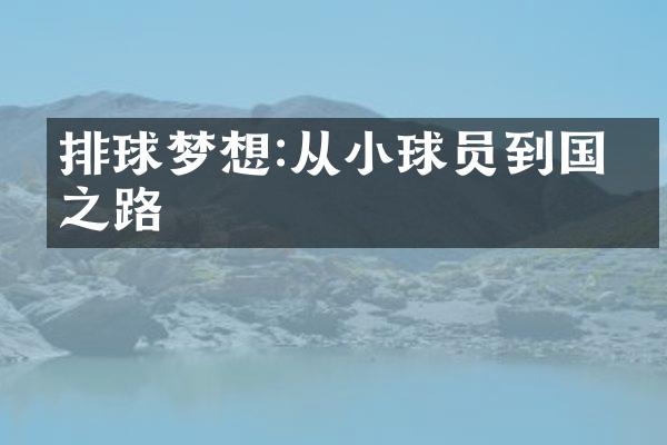 排球梦想:从小球员到国手之路