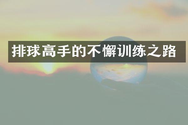 排球高手的不懈训练之路