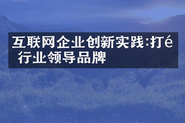 互联网企业创新实践:打造行业领导品牌