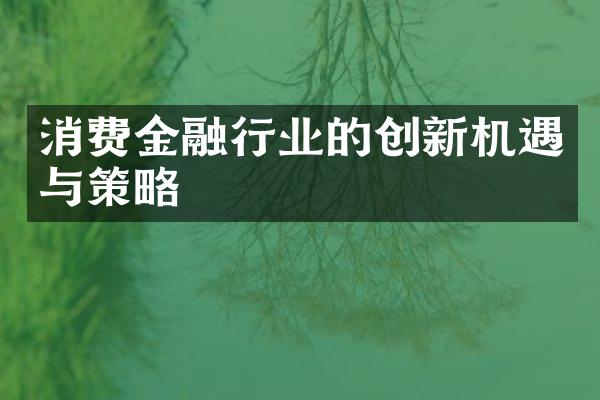 消费金融行业的创新机遇与策略