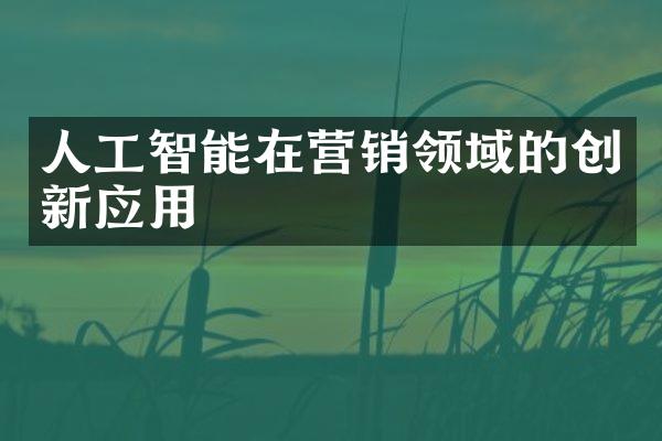 人工智能在营销领域的创新应用