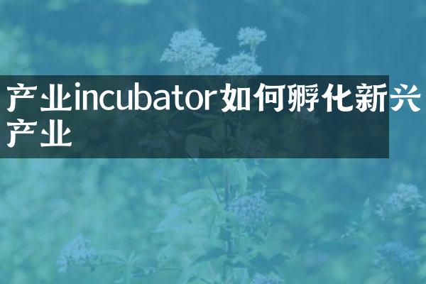 产业incubator如何孵化新兴产业