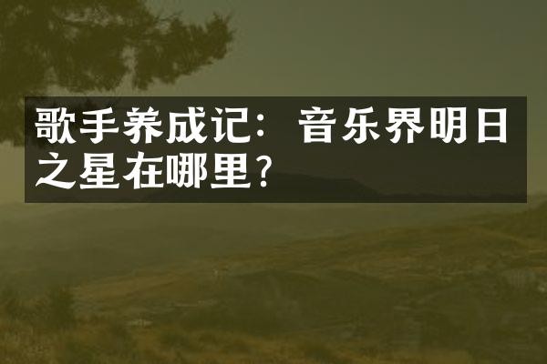 歌手养成记：音乐界明日之星在哪里？