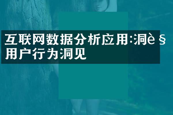 互联网数据分析应用:洞见用户行为洞见