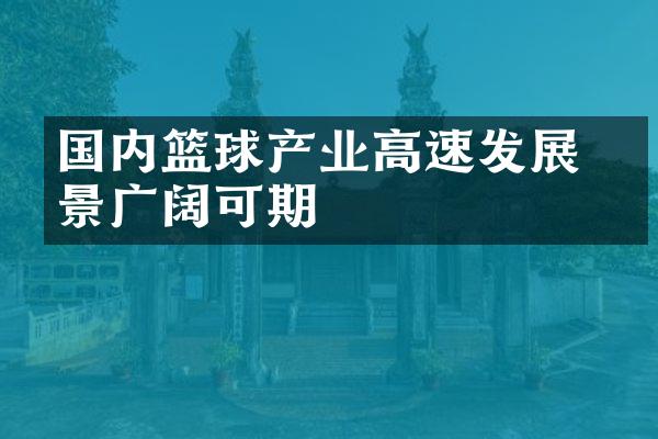 国内篮球产业高速发展 前景广阔可期