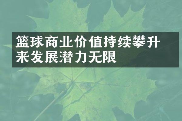 篮球商业价值持续攀升 未来发展潜力无限