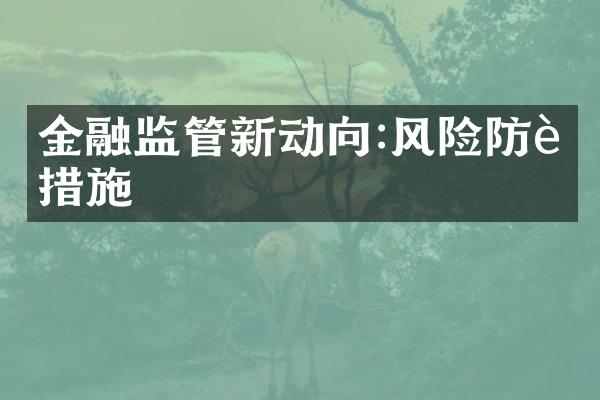 金融监管新动向:风险防范措施