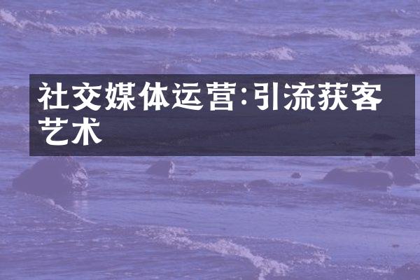 社交媒体运营:引流获客的艺术