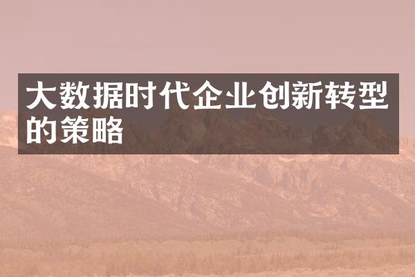 大数据时代企业创新转型的策略