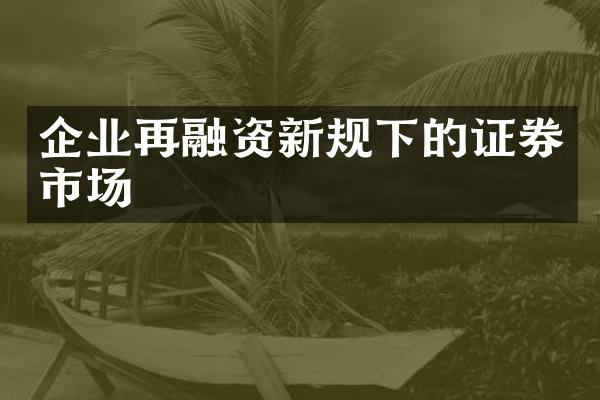 企业再融资新规下的证券市场