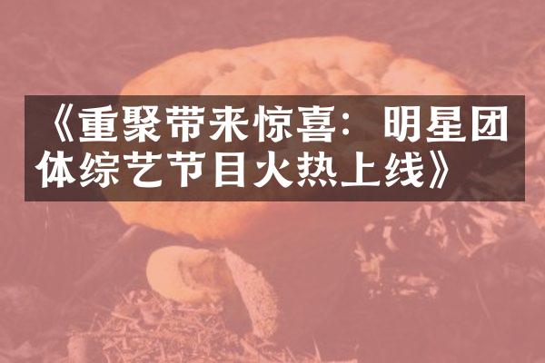 《重聚带来惊喜：明星团体综艺节目火热上线》