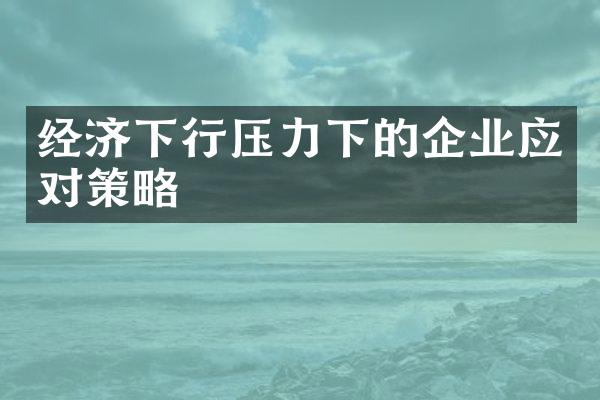 经济下行压力下的企业应对策略