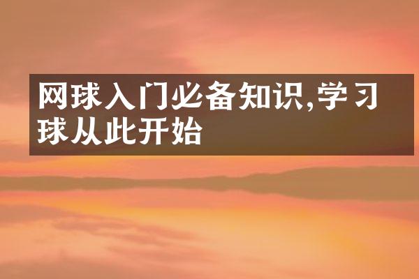 网球入门必备知识,学习网球从此开始