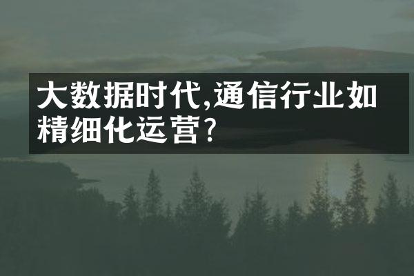 大数据时代,通信行业如何精细化运营?