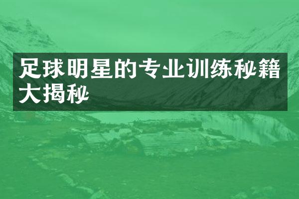 足球明星的专业训练秘籍大揭秘