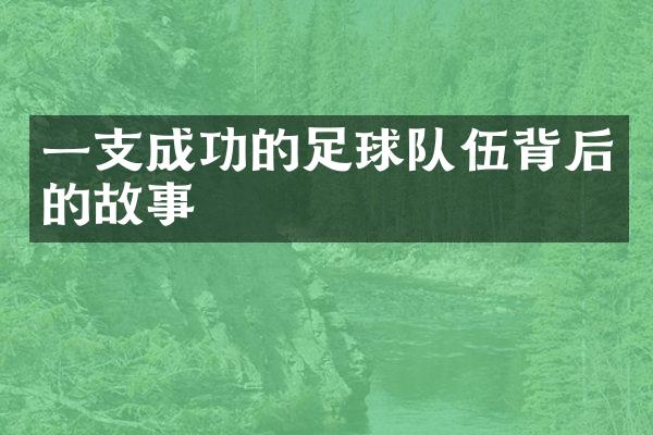 一支成功的足球队伍背后的故事