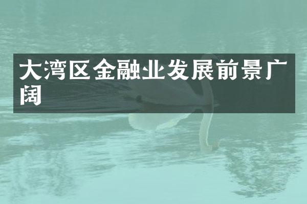 大湾区金融业发展前景广阔