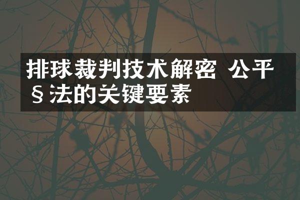 排球裁判技术 公平执法的关键要素