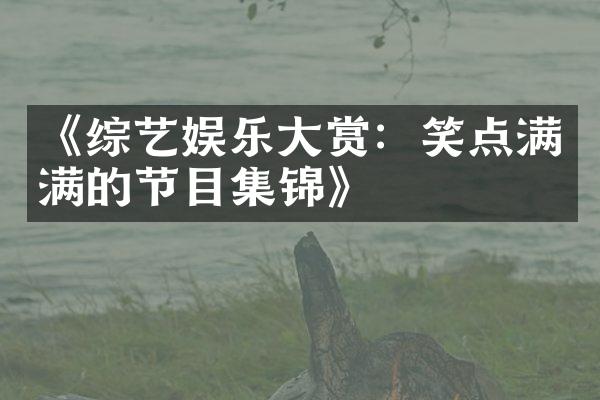 《综艺娱乐大赏：笑点满满的节目集锦》