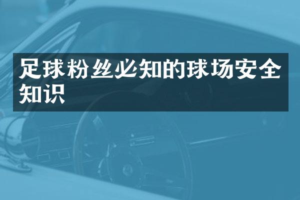 足球粉丝必知的球场安全知识