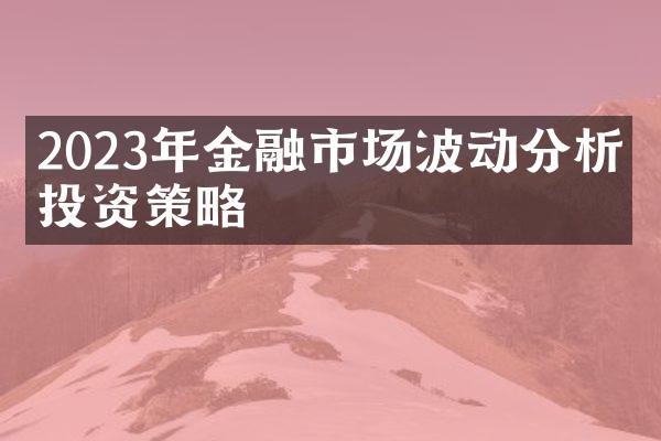 2023年金融市场波动分析及投资策略