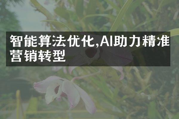 智能算法优化,AI助力精准营销转型