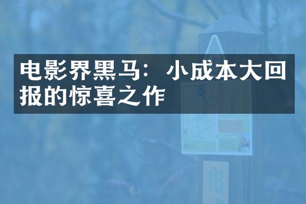 电影界黑马：小成本回报的惊喜之作