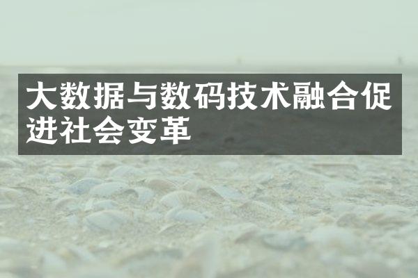 大数据与数码技术融合促进社会变革