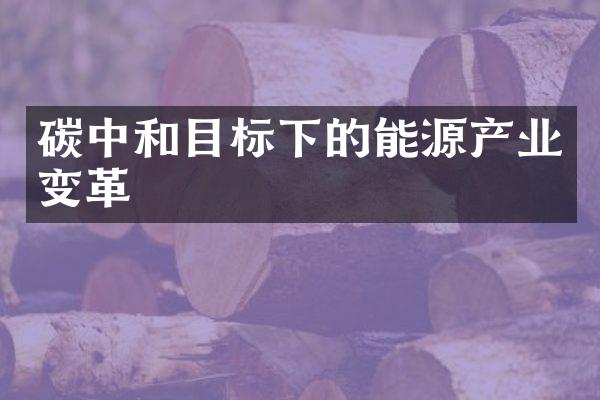 碳中和目标下的能源产业变革